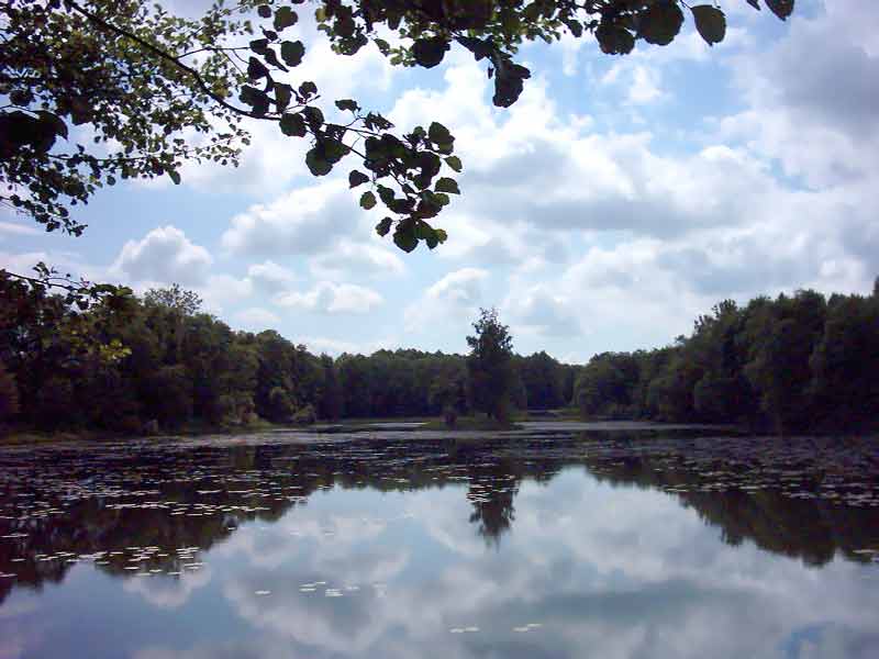 ������� ����������� �������� ���������