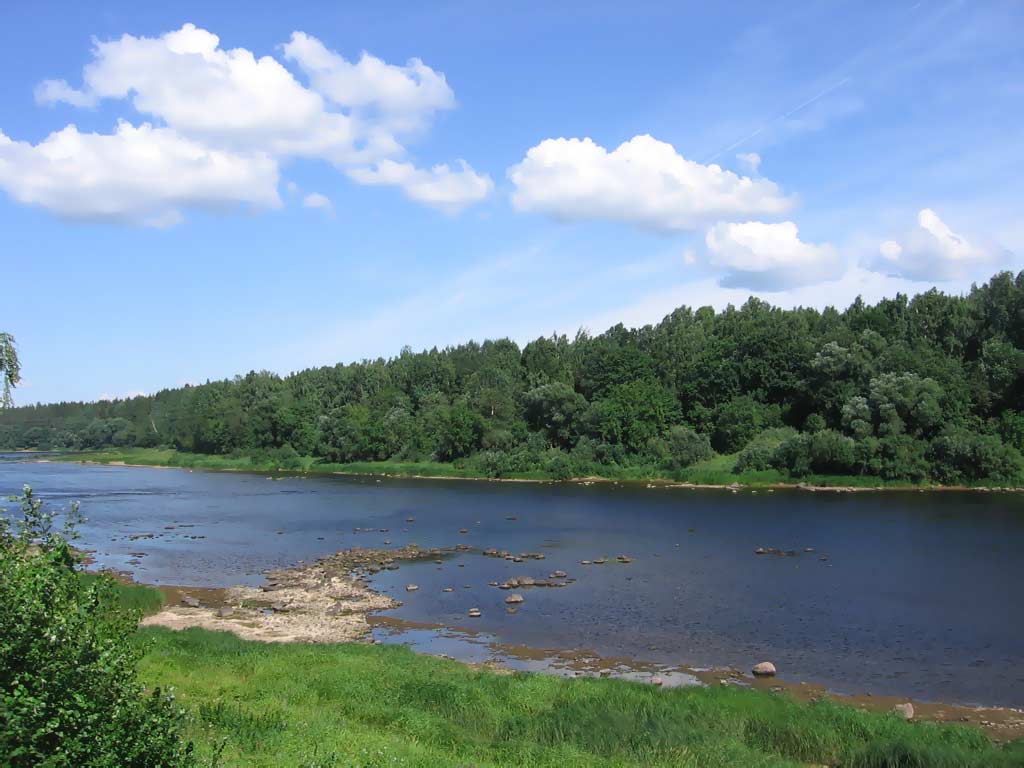 ��� �������� �����. ����. ��������. 