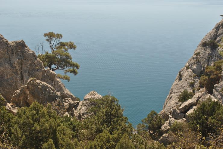 ����� �������� �� �������� �� ������ �����.  ������������ �� �����.