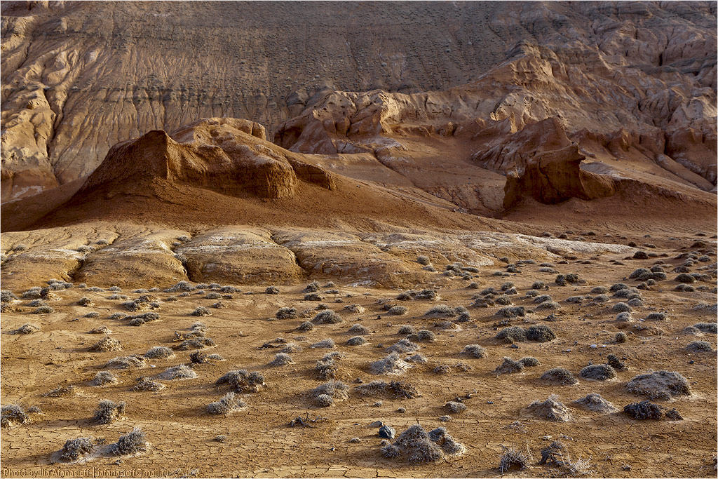 ������-������.  ������������ �� ����������.