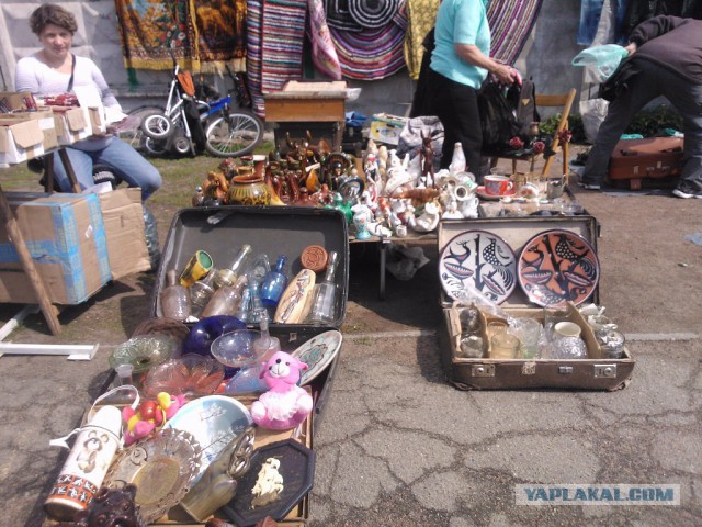 �������� ���������