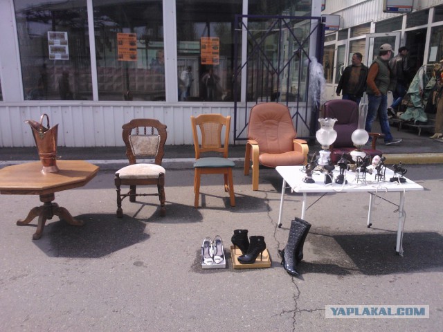 12 ���� ����� �����������. �������� ���������