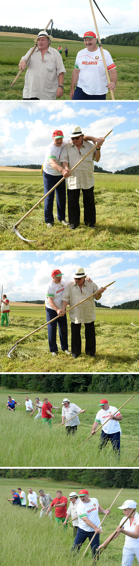Лукашенко обучил Депардье навыкам ручной косьбы. Фото. Картинка. Фотография