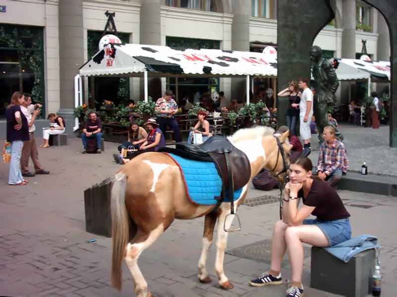 ���������� �����. ������ ���������. ������ ���� �� ������. ����. ��������