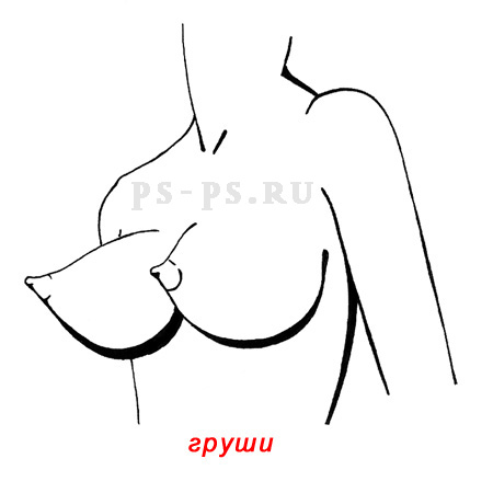 Груши. Формы женской груди.  Фото