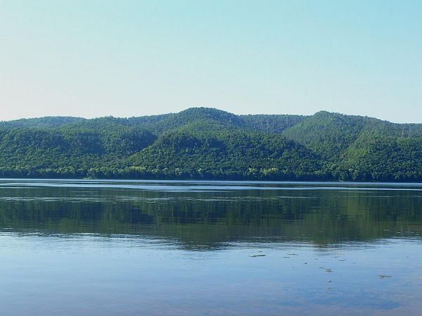 ����. ����������� ���� ����������� ����