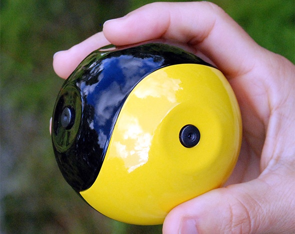 ���������� ����������� ����. ��������. ����������